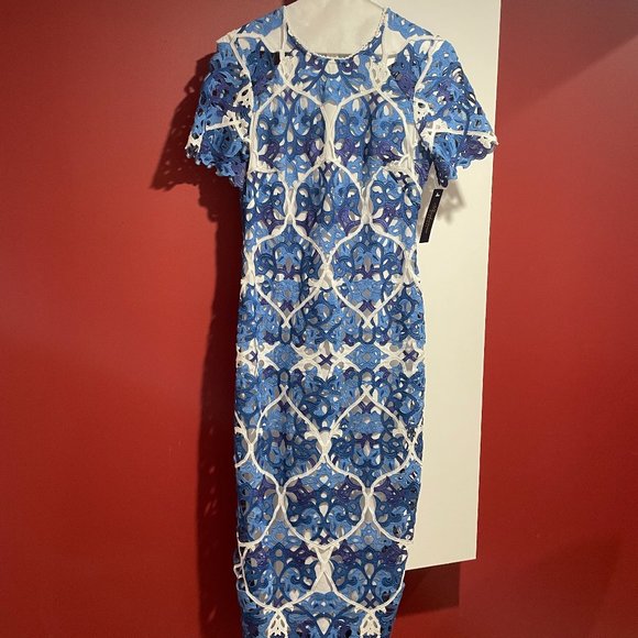 knee length dresses for ladies Kira Doily Lace Mini Dress